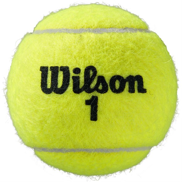 Мячи теннисные Wilson Roland Garros All Court 3 Balls  WRT126400 - фото 19399