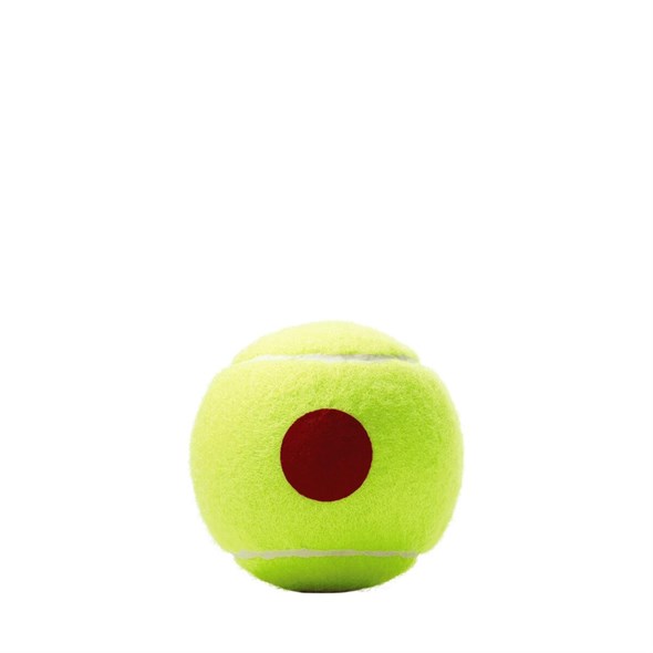 Мячи теннисные детские Wilson Starter Red Roland Garros 3 Balls  WRT147600 - фото 19670