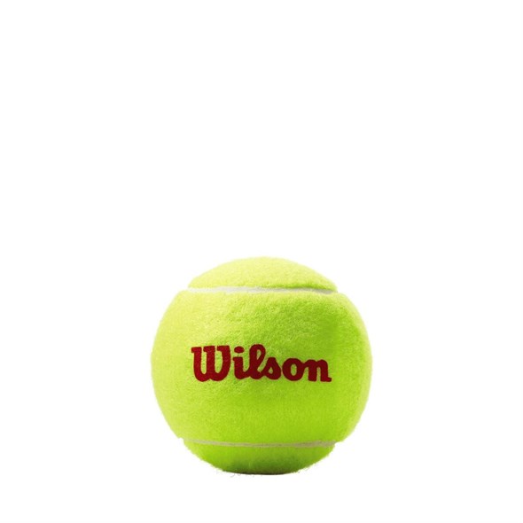 Мячи теннисные детские Wilson Starter Red Roland Garros 3 Balls  WRT147600 - фото 19671