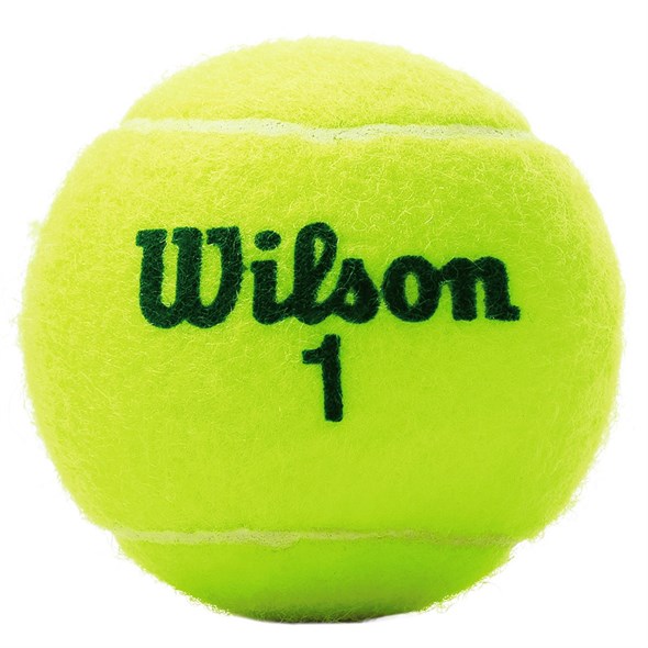 Мячи теннисные детские Wilson Starter Green Roland Garros 4 Balls  WRT147500 - фото 19675