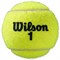 Мячи теннисные Wilson Roland Garros All Court 4 Balls  WRT116400 - фото 19396