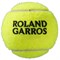 Мячи теннисные Wilson Roland Garros All Court 3 Balls  WRT126400 - фото 19398