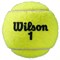 Мячи теннисные Wilson Roland Garros Clay 4 Balls  WRT115000 - фото 19405