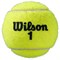 Мячи теннисные Wilson Roland Garros Clay (4X2) Balls  WRT115002 - фото 19408