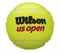 Мячи теннисные Wilson US Open 3 Balls  WRT106200 - фото 19536