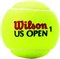 Мячи теннисные Wilson US Open Regular Duty 3 Balls  WRT107300 - фото 19573