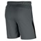 Шорты мужские Nike Dry Training 9 Inch Grey/Black  CJ2007-068  sp21 - фото 23274