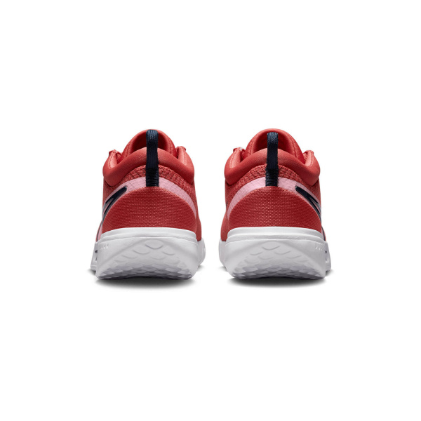 Кроссовки женские Nike Air Zoom Court Pro HC