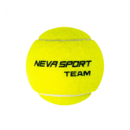 Мячи теннисные NS Team Black 3 Balls