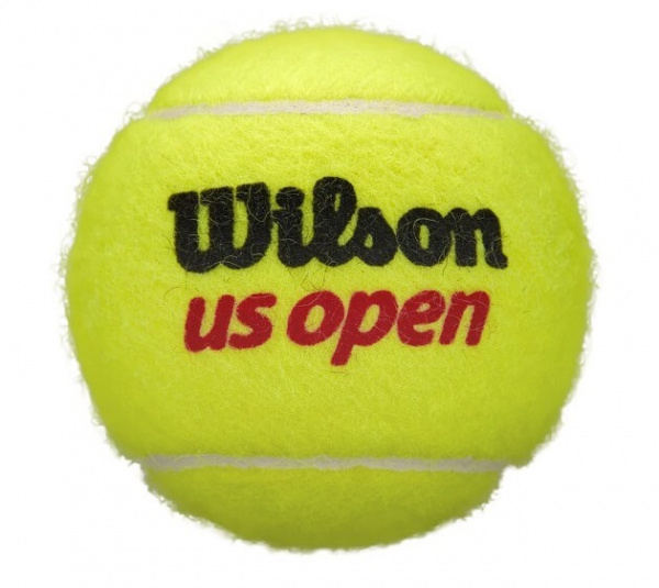 Мячи теннисные Wilson US Open 4B