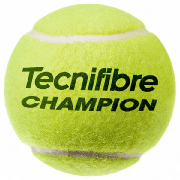 Мячи теннисные Tecnifibre CHAMPION 4 мяча