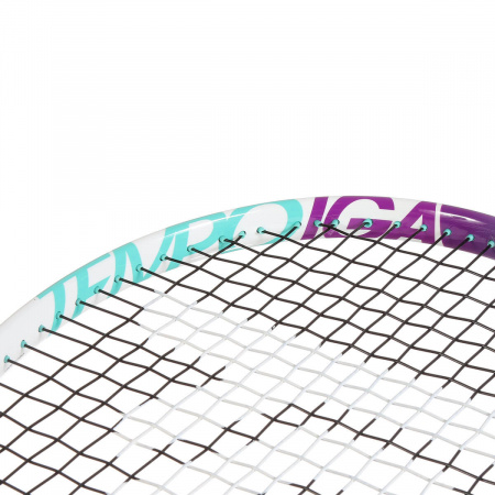 Ракетка теннисная детская Tecnifibre TEMPO IGA 24