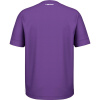 Футболка мужская Head SLICE Purple